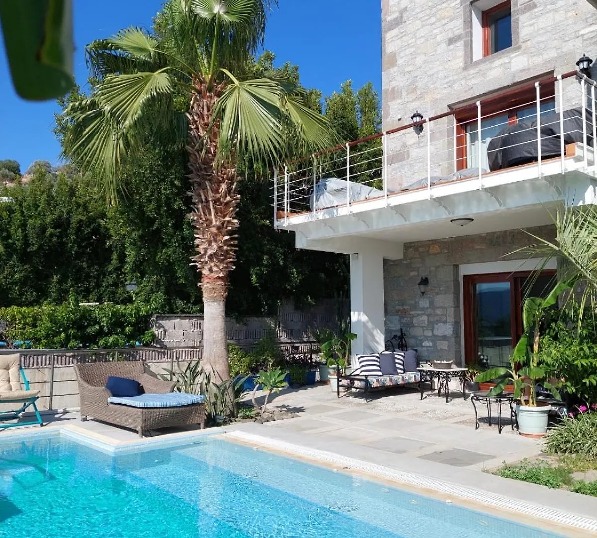 Villa Castello Αλικαρνασσός 0*,
