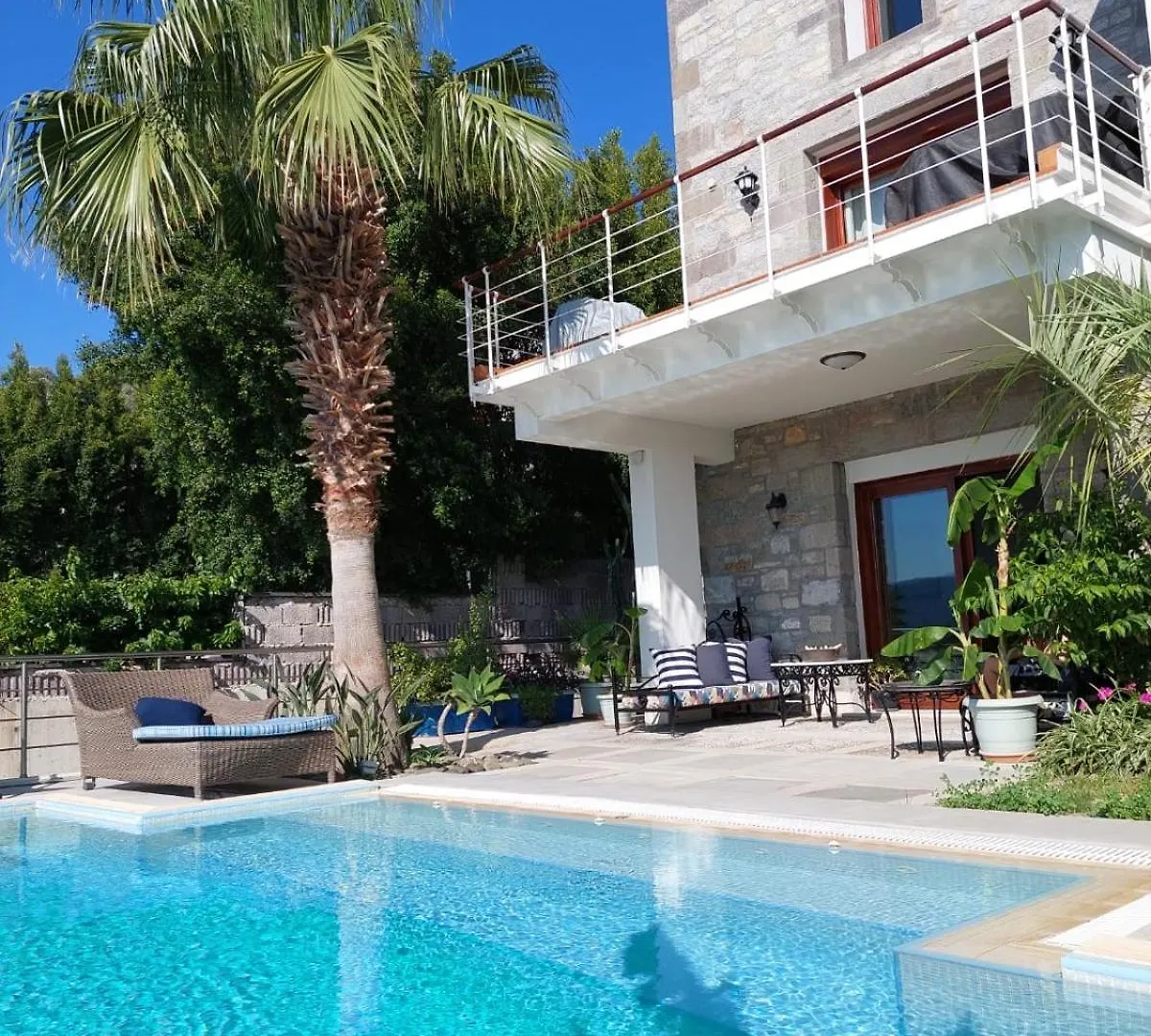 Villa Castello Αλικαρνασσός 0*,  Τουρκία
